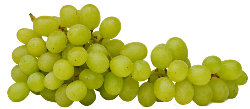 grapes isolated fruit