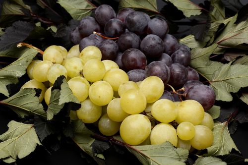 grapes fruits fruit
