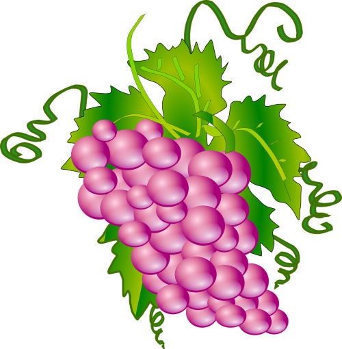 grapes bunch cluster