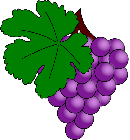 grapes fruit purple