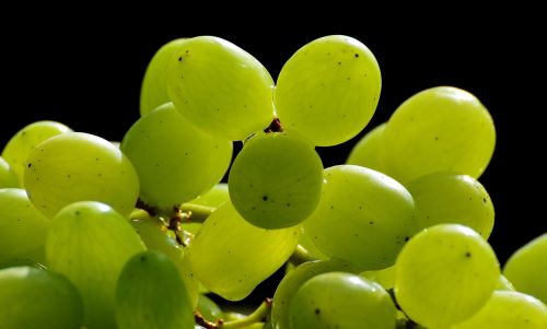 grapes fruits healthy