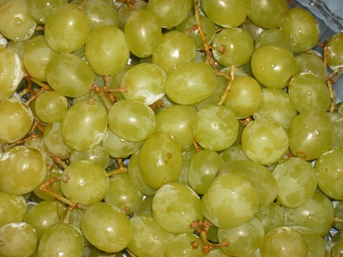 grapes  fruit  green