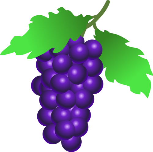 grapes fruit food