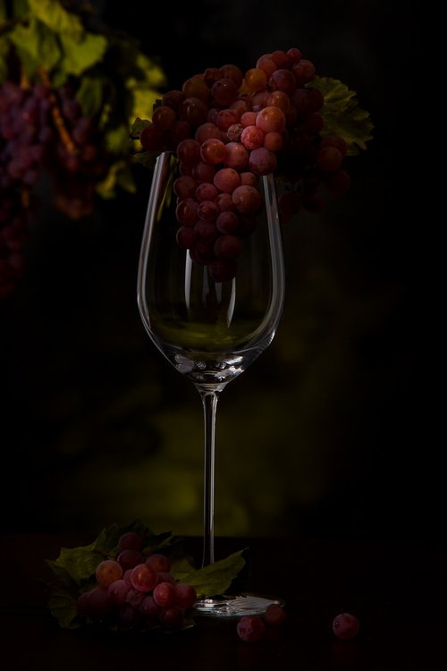 grapes  wine glass  vines