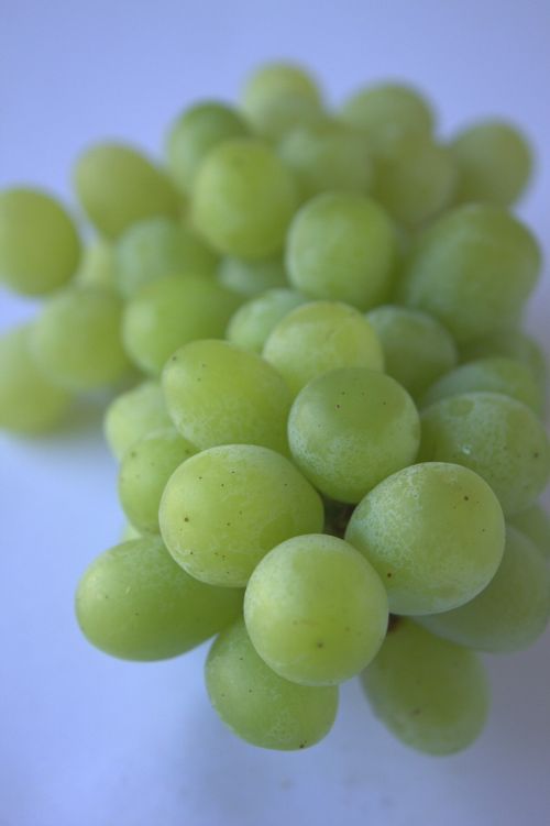 grapes green food