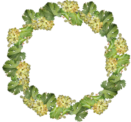 grapes  wreath  border
