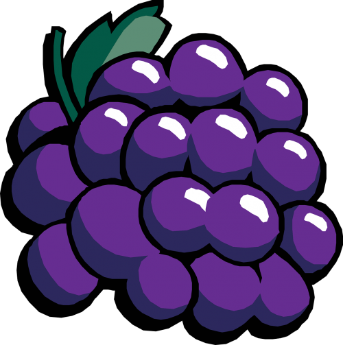 grapes fruit ripe