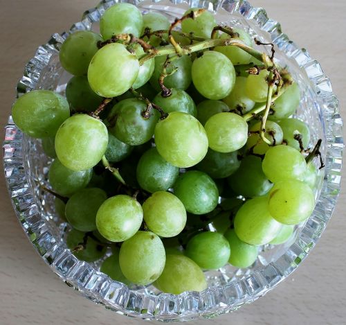 grapes green white grapes