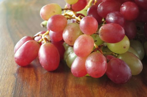 grapes wine wine harvest