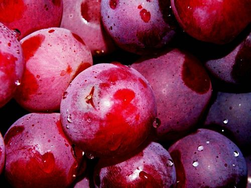 grapes fruit grape