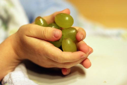 grapes fruit hands