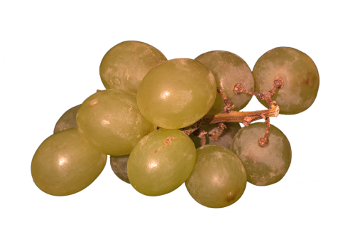 grapes isolated yellow