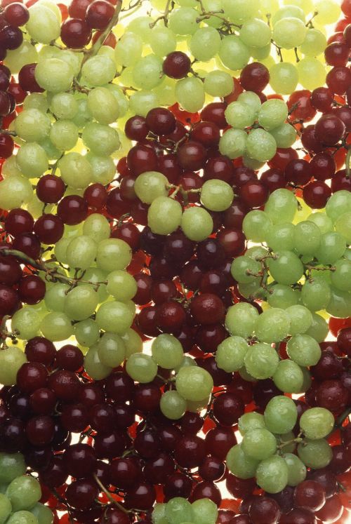 grapes cluster ripe