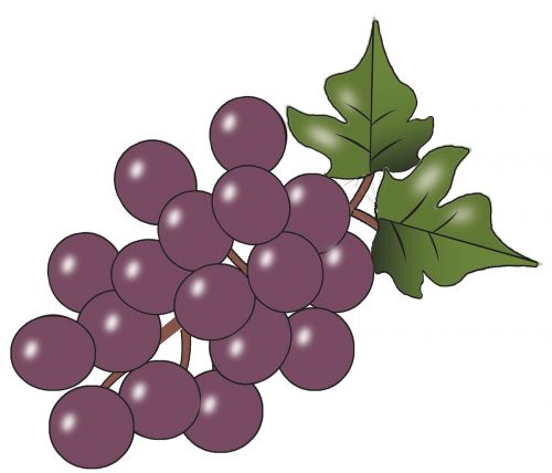 grapes fruit wine