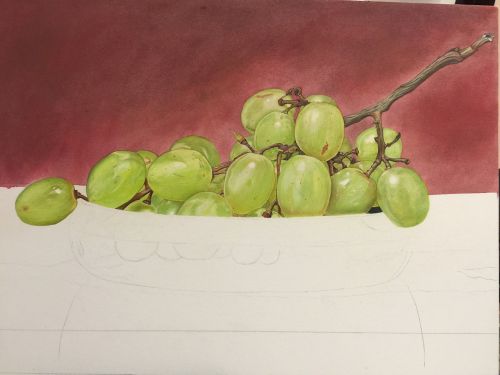 grapes drawings painting