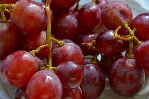 grapes vine clusters