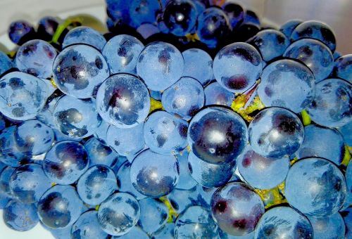 grapes fruit food