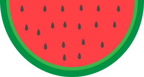 graphic watermelon fruit