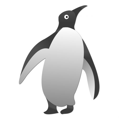 graphic penguin bird