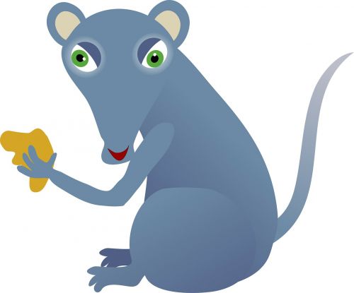 graphic cartoon mouse