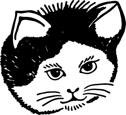 graphic cartoon cat