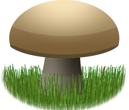 graphic  mushroom  food