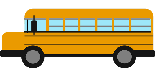 graphic  bus  school