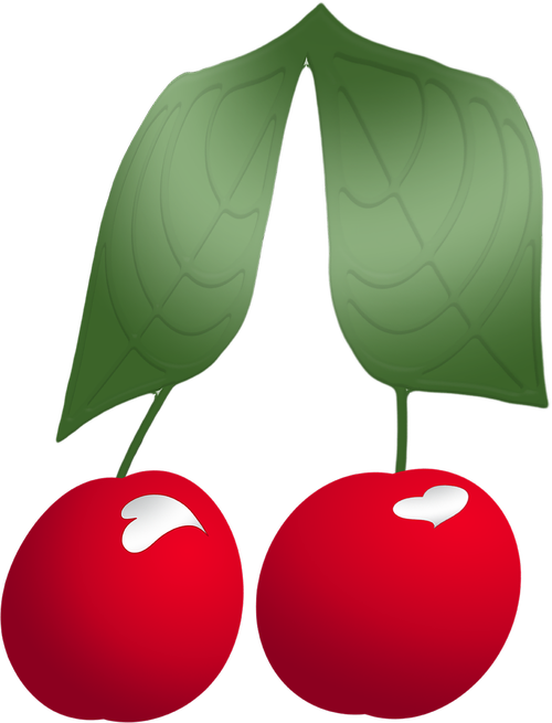 graphic  cherries  cherry