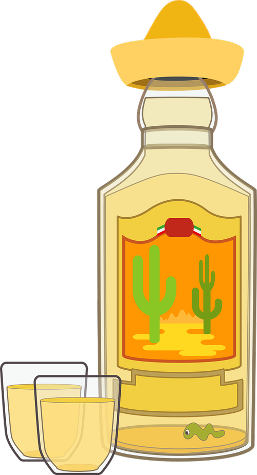 graphic  tequila  tequila bottle