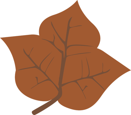 graphic  leaf  leaves