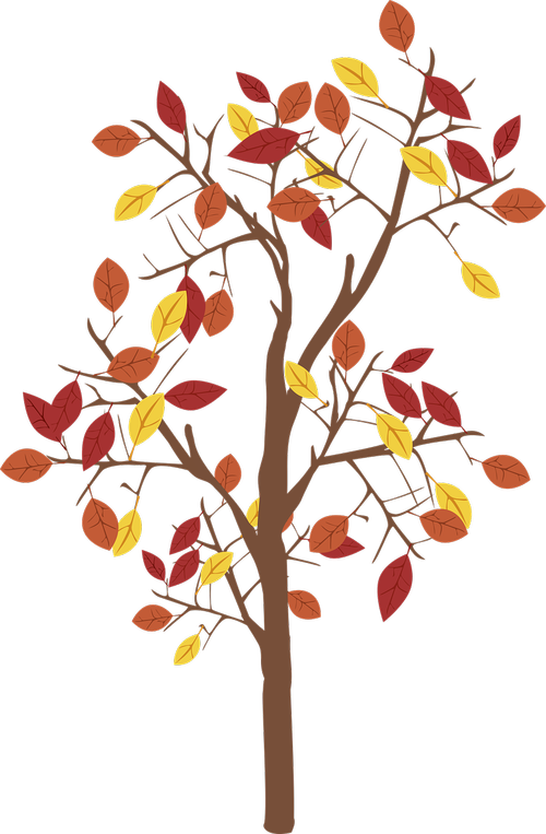 graphic  fall tree  tree