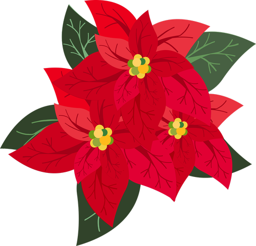 graphic  poinsettia  christmas