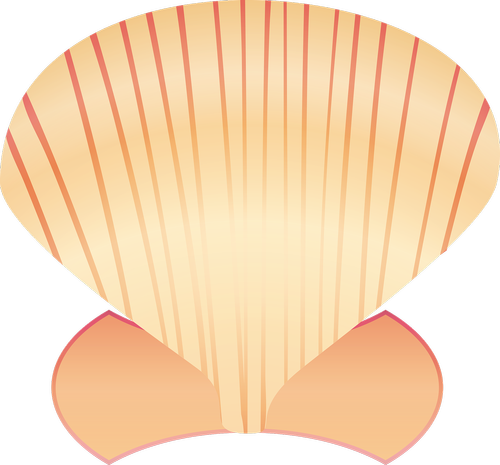 graphic  shell  clam