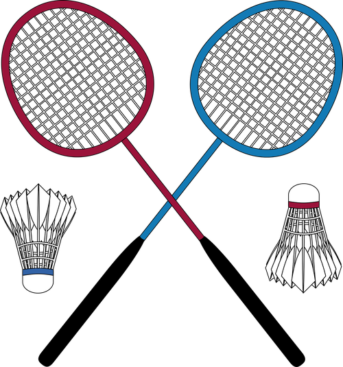 graphic  badminton  badminton racket