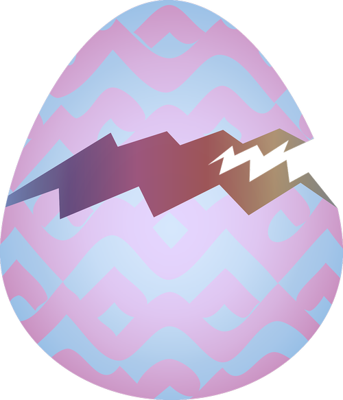 graphic  easter egg  hatched egg