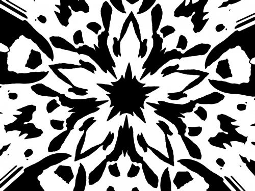 Graphic Flower - Poster