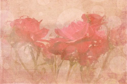 graphics background flower