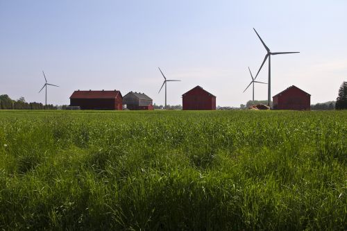grass windmills landscape
