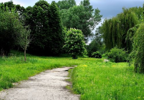 grass tree park