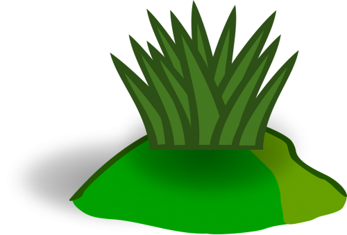 grass green vegetation