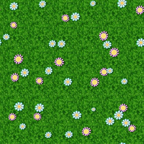 grass lawn daisy