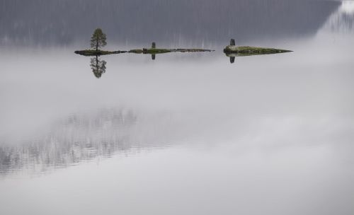 grass island lake