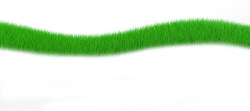 grass green strip