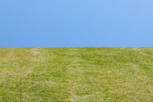 grass sky green grass