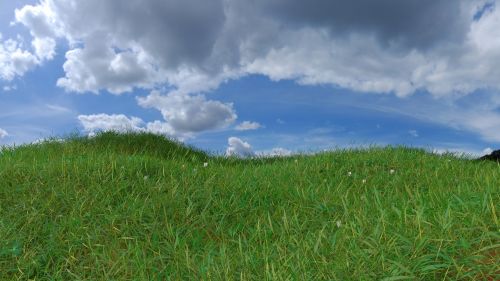 grass horizon landscape