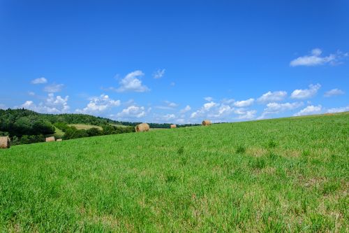 grass fields bales