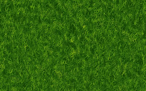 grass green texture