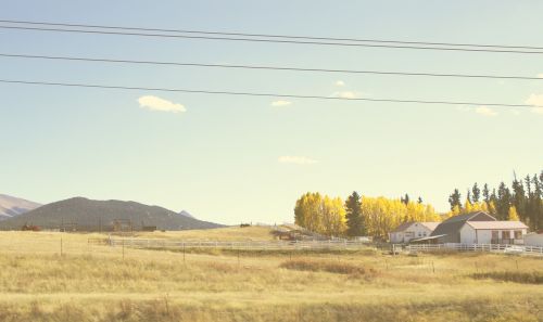 grass fields rural