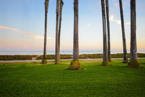 grass field path