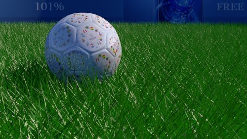 grass ball goal